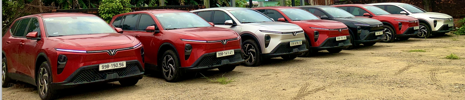 Hướng dẫn khách đặt vé nhanh qua hotline và website Dana Booking