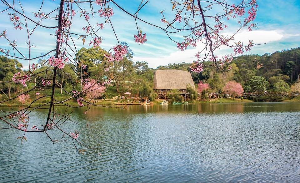 Hồ Đăk Ke Măng Đen bên những cành hoa và rừng cây xanh